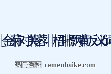 金菊对芙蓉·梧叶飘黄反义词是什么意思的图片